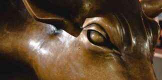 Bitcoin Price Skyrockets Over $71K, $175M in Shorts Liquidated news-29102024-091339