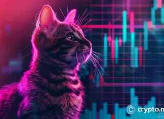 Popcat Price Prediction 2022: Should You Invest in Popcat Token? news-31102024-005644