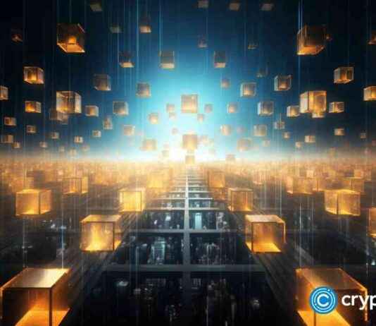 Understanding Smart Contracts: Types, Benefits, and Use Cases news-31102024-233829