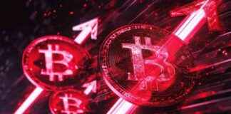 Florida’s CFO Reveals State’s $800m Crypto Holdings news-01112024-054002