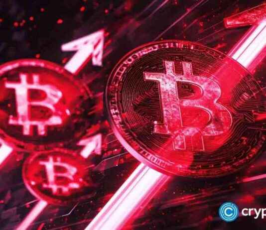 Florida’s CFO Reveals State’s $800m Crypto Holdings news-01112024-054002