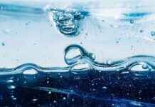 Bitcoin Price Drop Triggers $250M Bullish Liquidations; Crypto Sentiment Indicator Signals Market Top news-01112024-114319