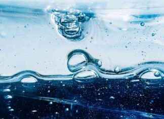 Bitcoin Price Drop Triggers $250M Bullish Liquidations; Crypto Sentiment Indicator Signals Market Top news-01112024-114319