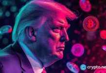 Meme Coins Surge Amid Market Correction Before US Election news-05112024-104532