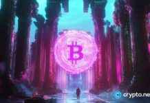 Semler Scientific Plans More Bitcoin Purchases Following Q3 Acquisition news-05112024-104602