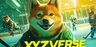 Top 4 Solana Alternatives Poised for Explosive Growth by Christmas news-05112024-164707