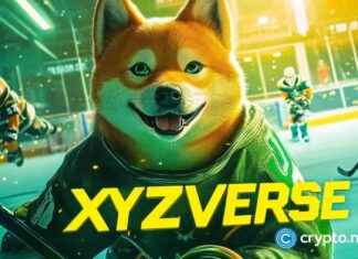 Top 4 Solana Alternatives Poised for Explosive Growth by Christmas news-05112024-164707