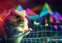 Hamster Kombat: 260 Million Players Flee in Mass Exodus news-05112024-224754