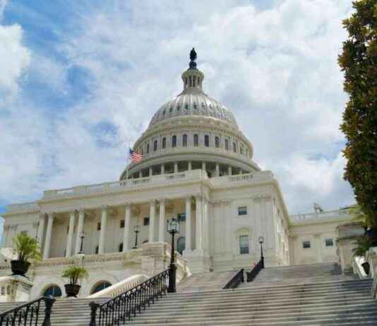 news-08112024-091947