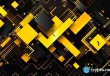 Binance Labs Invests in DeSci Platform: BIO Protocol Revolutionizing Blockchain Technology news-08112024-212403