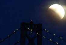 Eclipse: Solana-Ethereum Hybrid by VC Darling Makes Debut news-09112024-092637