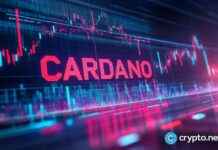 Cardano Surges as Bitcoin Approaches $80K news-10112024-151455