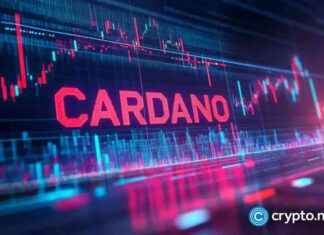 Cardano Surges as Bitcoin Approaches $80K news-10112024-151455