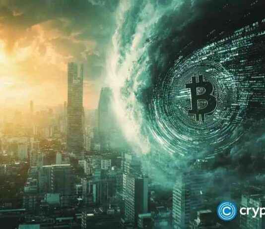 Bitcoin DeFi: The Key to Cryptocurrency Adoption news-11112024-153903