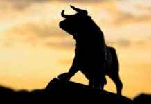 Bitcoin Price Hits $88K, Boosting MicroStrategy to 24-Year High During Crypto Surge news-12112024-034347