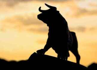 Bitcoin Price Hits $88K, Boosting MicroStrategy to 24-Year High During Crypto Surge news-12112024-034347