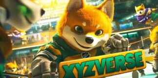 Top 5 Beginner-Friendly Coins with Potential 2-5x Growth news-12112024-094606