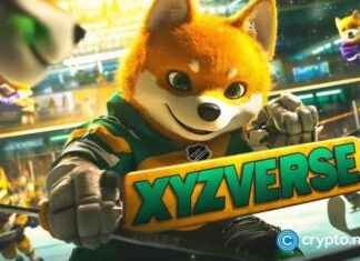 Top 5 Beginner-Friendly Coins with Potential 2-5x Growth news-12112024-094606