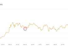 news-15112024-153611