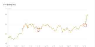 Bitcoin ETF Outflows Signal Potential Price Bottoms news-15112024-153611