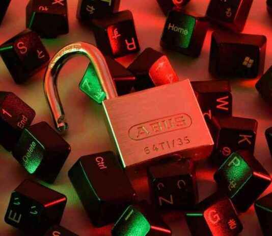 From $120 to $178M: The Journey of an OG Bitcoin Investor news-15112024-213724