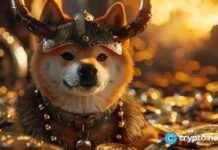 Floki Coin Price Volatility on Coinbase: 14% Swing news-16112024-093728