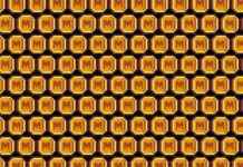 Revising the Misconception of Memecoin Communities news-16112024-154047