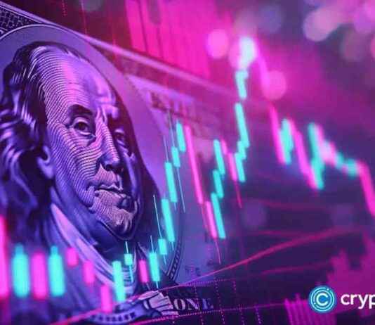 Crypto Startups Secure Millions in VC Funding news-16112024-213951