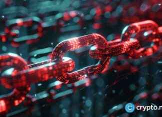 Bitcoin Whale Returns After 13 Years: Revealing Onchain Data news-17112024-034029