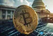Bitcoin ETF outflows slow, $100k BTC target still in sight news-17112024-154323