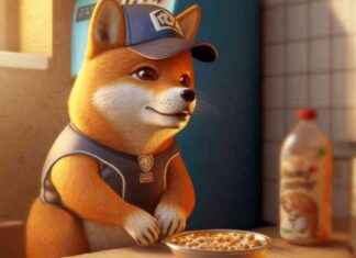 BONK Stock Surges 16% to All-Time Highs, Investors Optimistic for Future Gains news-17112024-154432