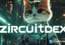 New Coin with 10,000% Potential: Kaspa vs DOT vs Newcomer news-17112024-214436