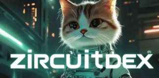 New Coin with 10,000% Potential: Kaspa vs DOT vs Newcomer news-17112024-214436