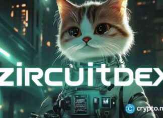 New Coin with 10,000% Potential: Kaspa vs DOT vs Newcomer news-17112024-214436