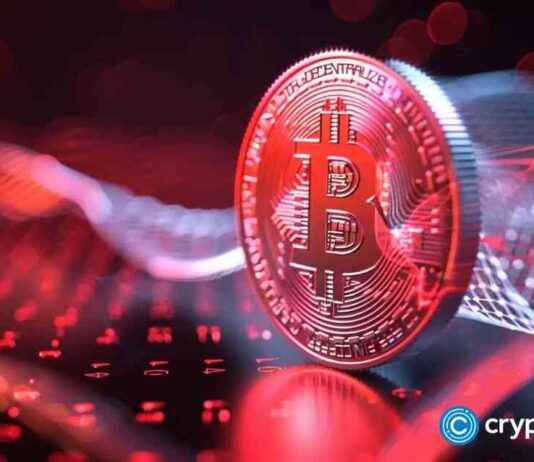 MicroStrategy’s $26 Billion Bitcoin Holdings Surpass Nike and IBM Cash Reserves news-18112024-094609