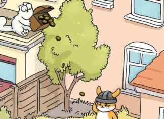 CAT Token Expands to Solana for Long-Term Growth news-18112024-094727