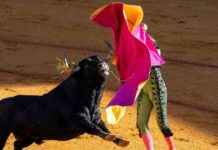 Bitcoin Price Forecast: BCA Research Signals $200K Target news-18112024-154827