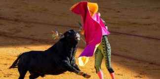 Bitcoin Price Forecast: BCA Research Signals $200K Target news-18112024-154827