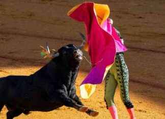 Bitcoin Price Forecast: BCA Research Signals $200K Target news-18112024-154827