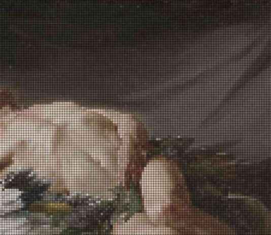 Morpheus AI Project Launches on Mainnet – Decentralized AI Technology news-19112024-035004