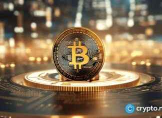 The Impact of Trump’s Bitcoin Interest on the Future of Gold news-19112024-095037