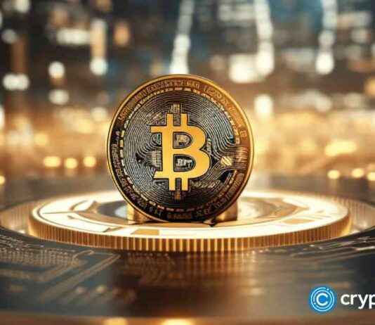 The Impact of Trump’s Bitcoin Interest on the Future of Gold news-19112024-095037