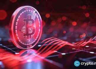 MicroStrategy Stock Soars 450% Due to High Wall Street Demand news-19112024-155134