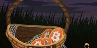 VanEck Backs Bitcoin’s Strategic Reserve: A Game-Changer for Crypto Market news-20112024-035357