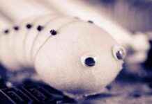 Sui Network Recovers After Scheduling Bug Causes Two-Hour Downtime news-21112024-180257