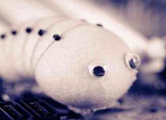 Sui Network Recovers After Scheduling Bug Causes Two-Hour Downtime news-21112024-180257