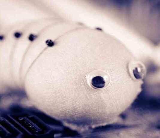 Sui Network Recovers After Scheduling Bug Causes Two-Hour Downtime news-21112024-180257