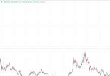 Cardano’s ADA Hits 2.5-Year High: Whale Holdings Top $12B news-22112024-135454