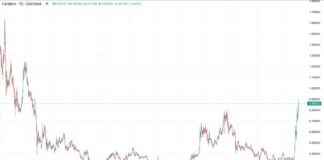 Cardano’s ADA Hits 2.5-Year High: Whale Holdings Top $12B news-22112024-135454