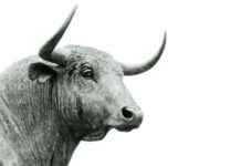 Bitcoin Price Soars Near $100K as Crypto Market Cap Hits Record $3.4 Trillion news-22112024-135520